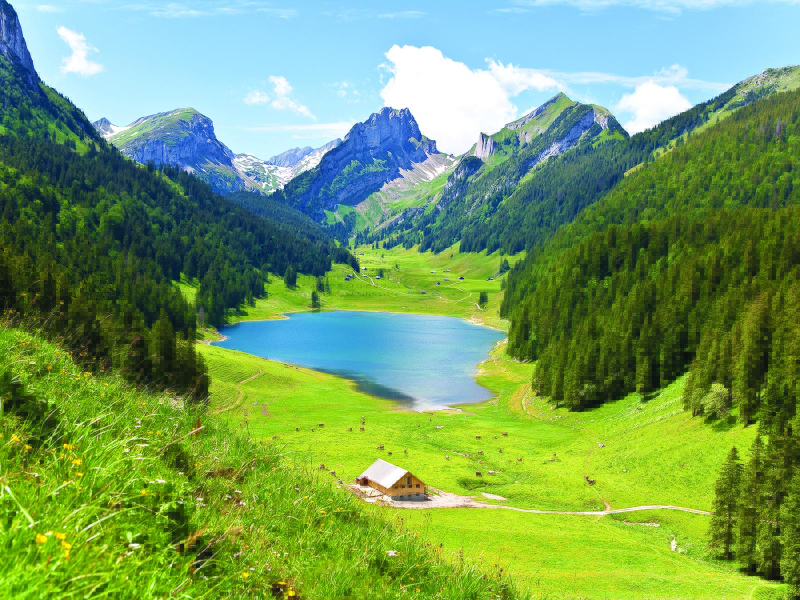 Secondo Ellen White, la Svizzera rispecchia il paradiso