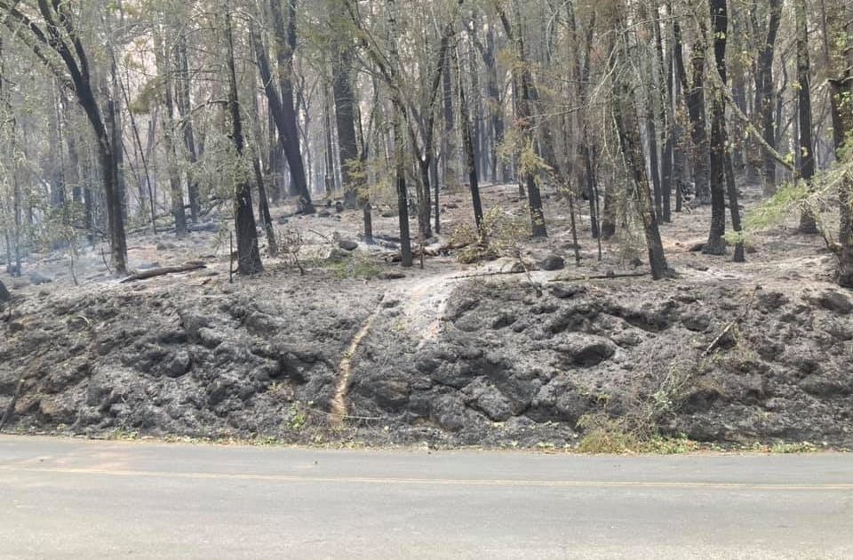 Ripresa degli incendi in California
