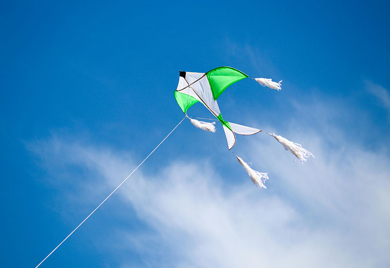 Un giovane ragazzo e il suo aquilone